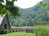 09-10-00 Smoky Mountains Farm Exhibit12.jpg (96681 bytes)